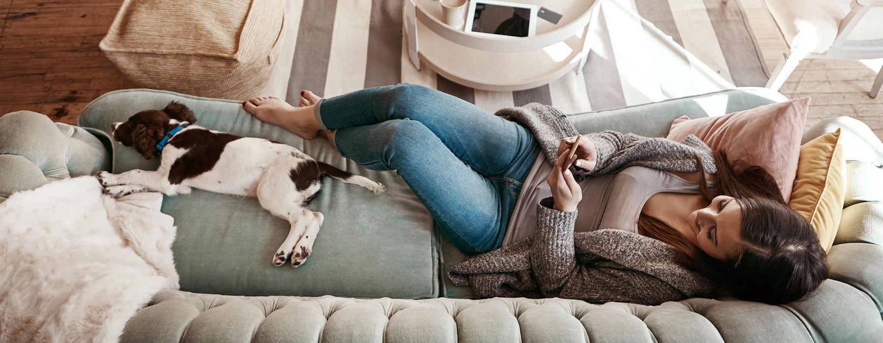 overhead shot of woman relaxing on living room couch with her dog as she looks at her phone
